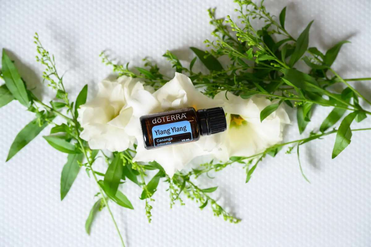 doTERRA Ylang Ylang Öl mit 15ml kaufen