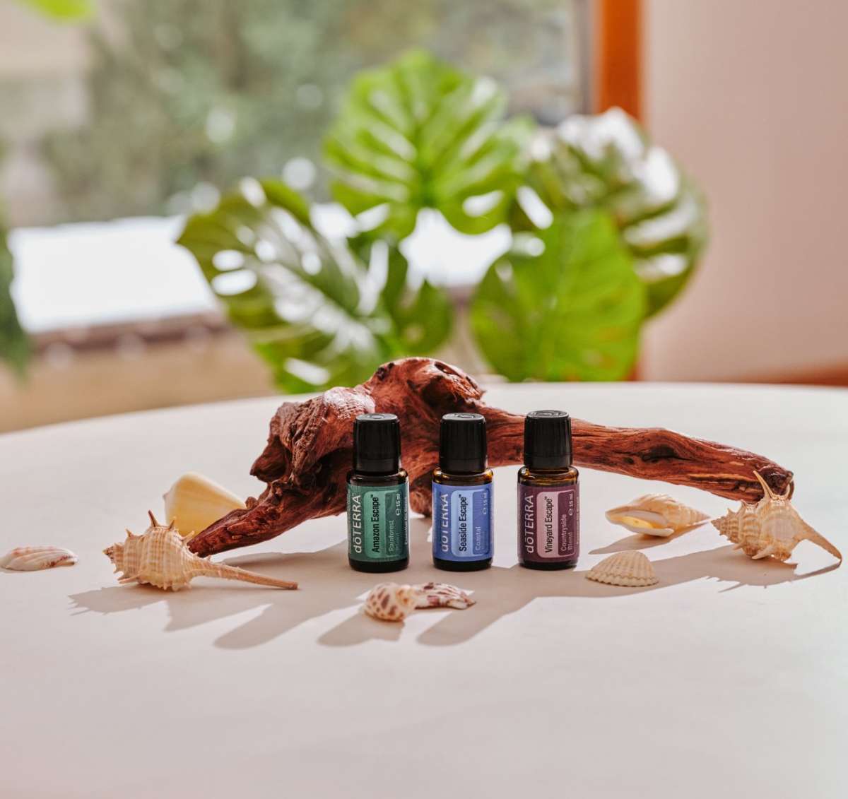 Amazon Escape Oil | doTERRA Essential Oils