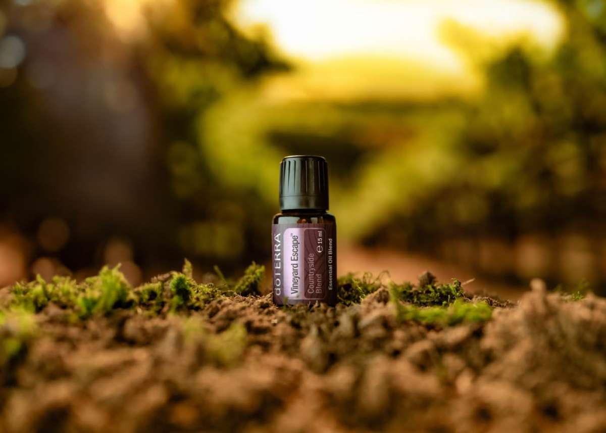 doTERRA Escape Series mit Amazon, Seaside und Vineyard Escape™
