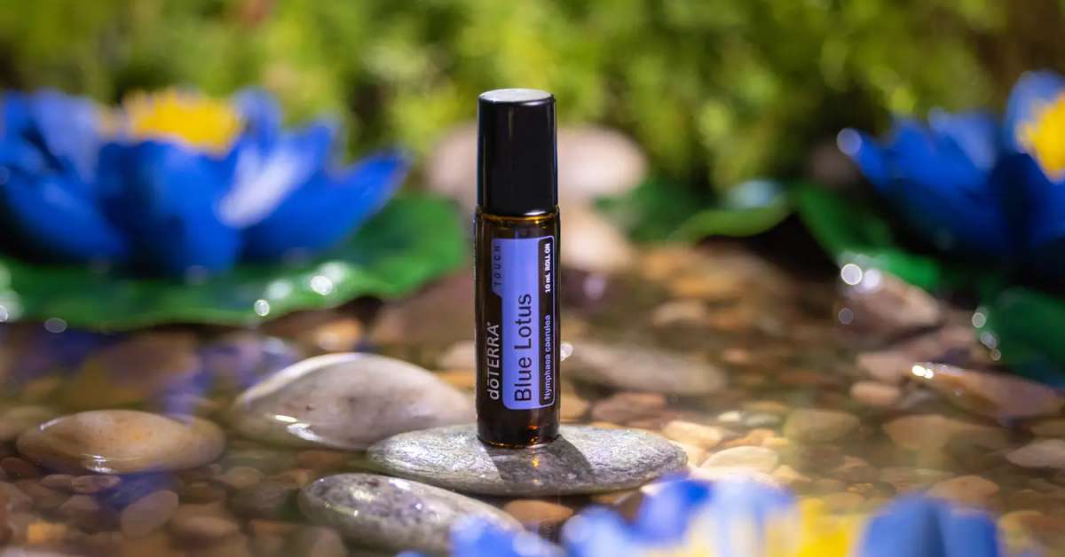 doTERRA Blue Lotus Touch (Blauer Lotus Roll-On) 10ml