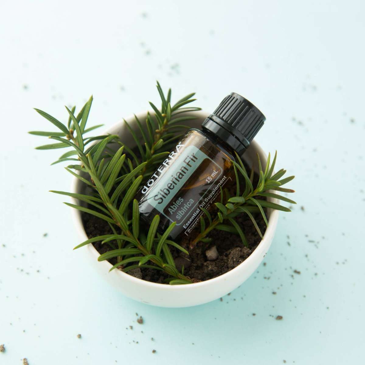 doTERRA Sibirische Tanne | Ätherisches Öl