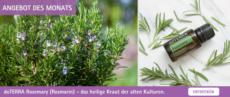 doTERRA Rosmarin - Rosmarinöl